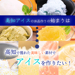 ★お歳暮★高知アイスの「アイスクリーム」 16個セット(8種類×2個)ふるさと納税 高知アイス 土佐 お取り寄せ おすすめ 美味しい 素材 こだわり ギフト 特産品 産地直送 送料無料