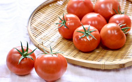 まっことうまい!水田さんのフルーツトマト【約2kg×2箱 / 簡易箱入】