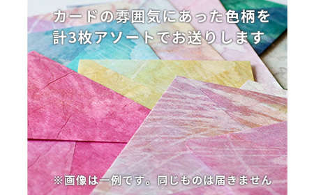 【奏華舎】土佐和紙カード＆染紙封筒セット（ボタニカル / アソート３種）