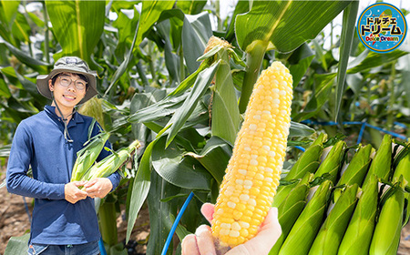 とうもろこし ドルチェドリーム10本 