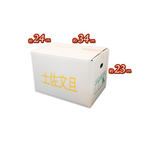 土佐文旦 家庭用5kg(池上果樹園)