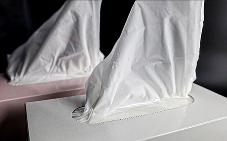 JAPANプレミアムセット(10箱 / 高品質BOXティッシュ)