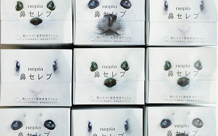 【お歳暮】ネピア 鼻セレブボックスティッシュ (20箱)