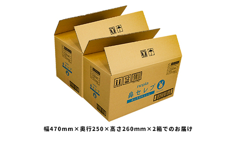 【お歳暮】ネピア 鼻セレブボックスティッシュ (20箱)