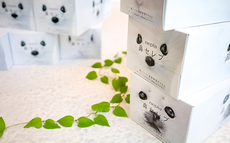 【お歳暮】ネピア 鼻セレブボックスティッシュ (20箱)