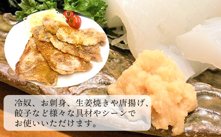 高知そだちのしょうがだけ（50g×10パック）