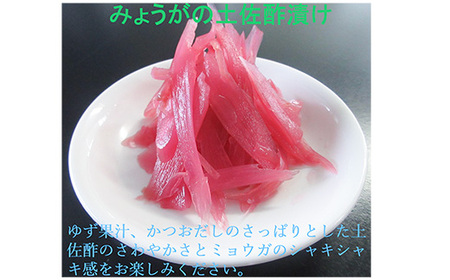 みょうが土佐酢漬け（70g×10パック）