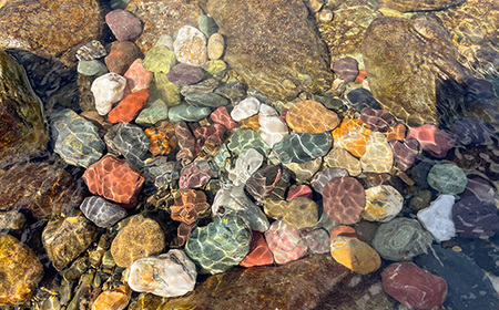 【高知・仁淀川】誰でも簡単、地元ガイドが教えてくれるゴリ釣り体験（2名様）