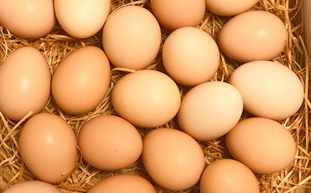 土佐ジロー卵の米粉フィナンシェ（５個）と土佐ジロー黄色プリン（５個）