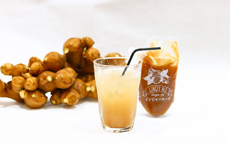 クラフトジンジャーエールの素（200g×3P）