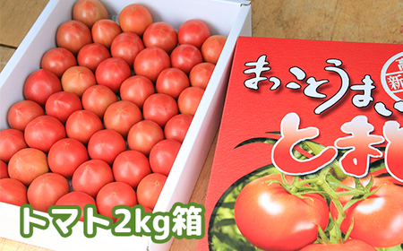 まっことうまい！水田さんのフルーツトマト【約２kg / 化粧箱入】