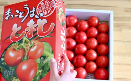 まっことうまい！水田さんのフルーツトマト【約１kg×2箱 / 化粧箱入】
