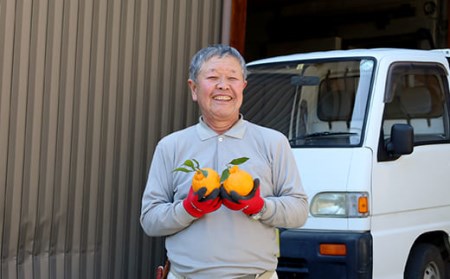 12玉サイズ】柑橘・みかん しらぬい（不知火）３ｋｇ | 高知県いの町