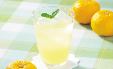 高知アイスの無添加ゆずドリンク「希釈用」1L×2本