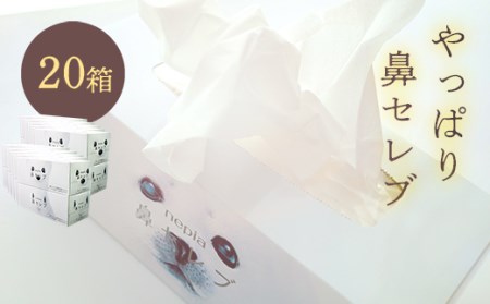 ネピア 鼻セレブボックスティッシュ （20箱） | 高知県いの町