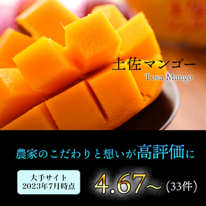 かおる・とろける！土佐マンゴー(2～5個)×２箱