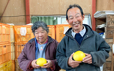土佐文旦　家庭用10kg（池上果樹園）