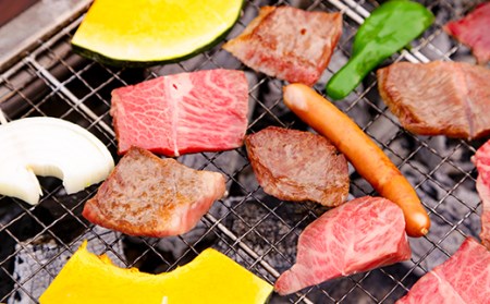 【仁淀川×土佐あかうし】手ぶらでバーベキュー体験プラン★2人前