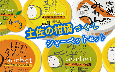 高知アイスの土佐の柑橘づくしシャーベットセット(12個)高知アイス 土佐 お取り寄せ おすすめ 美味しい 素材 こだわり ギフト 特産品 産地直送 送料無料