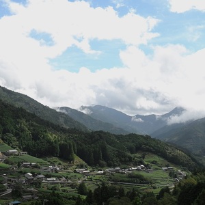 0162001 によどヒノキウォーター3点セット