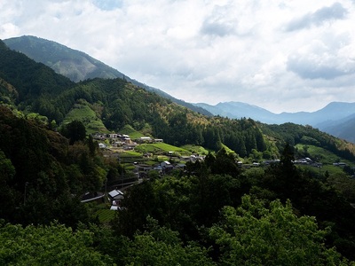 0212001 摘み草ブレンドティー4種セット