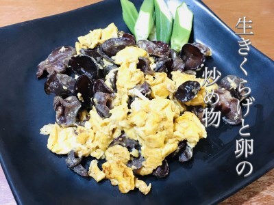 0092205 ◆期間限定◆「生」黒きくらげ ５００ｇ（高知県仁淀川町産）