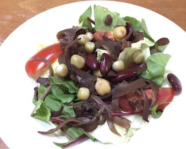 0102203 高知県産仁淀川きくらげスライスタイプ 100g×1袋（仁淀川町ツボイ産）