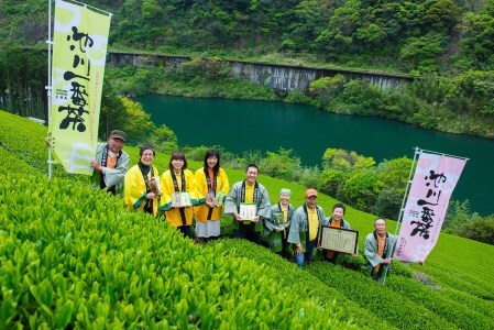 0110202 池川一番茶 飲みくらべセット