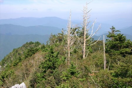 0092602 秋葉の里の手作りいりもち (10枚入り:冷凍)