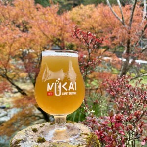 0213101 奇跡の清流 仁淀川 天然水仕込みのクラフトビール（３種各２本セット）