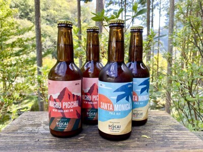 0143101 ムカイクラフトブルーイング　Geo[ジオ]シリーズ　２種各２本セット