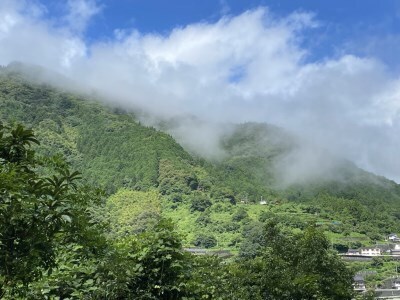 0143101 ムカイクラフトブルーイング　Geo[ジオ]シリーズ　２種各２本セット