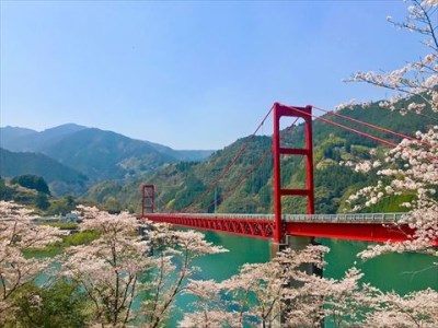 秋葉の宿　ペア素泊りプラン