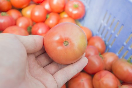 そらの訳ありトマト（約１.２kg）