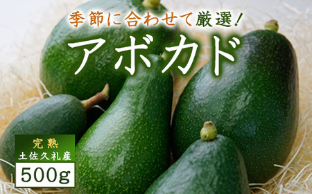 土佐久礼産 完熟アボカド 500g 国産 高知県産 完熟 クリーミー サラダ