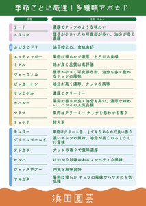 土佐久礼産 完熟アボカド 500g 国産 高知県産 完熟 クリーミー サラダ