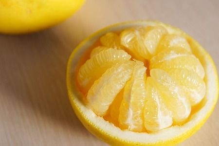 〈先行予約受付中〉潮風の恵みで育った津野さんの土佐文旦 家庭用 5kg 3・4・5L混合 【 文旦 ブンタン ぶんたん 高知 土佐 果物 甘い 柑橘 フルーツ 】