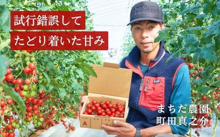 【定期便全6回 1月~6月毎月お届け】四万十川源流域で育まれた 絶品 フルーツミニトマト 1kg 【 フルーツトマト とまと 甘い 濃厚 美味しい 箱詰め 糖度8%~12% 高知 中土佐 】