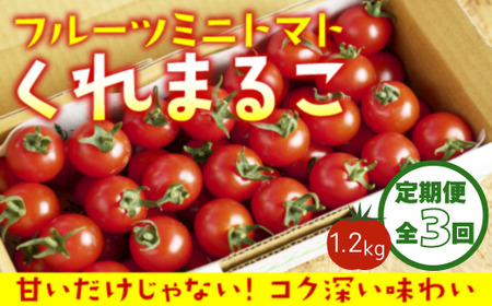 【定期便全3回 1月・3月・6月にお届け】 フルーツミニトマト 『 くれまるこ 』 1.2kg 【  フルーツトマト とまと  甘い 濃厚 美味しい 箱詰め 糖度8%～12% 高知 中土佐 】 