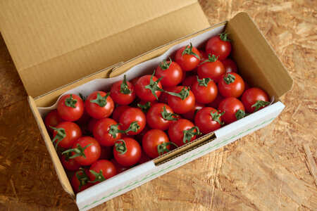 【定期便全6回 1月~6月毎月お届け】 フルーツミニトマト 『 くれまるこ 』 1.2kg 【 フルーツトマト トマト 甘い 濃厚 美味しい 箱詰め 糖度8%~12% 高知 中土佐 】