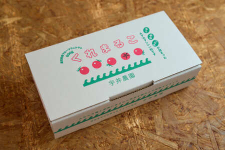 【定期便全6回 1月~6月毎月お届け】 フルーツミニトマト 『 くれまるこ 』 1.2kg 【 フルーツトマト トマト 甘い 濃厚 美味しい 箱詰め 糖度8%~12% 高知 中土佐 】