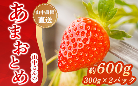 先行予約受付中【中土佐町産】山中さんの「いちご」 ( あまおとめ 2パック ) 苺 イチゴ 高知