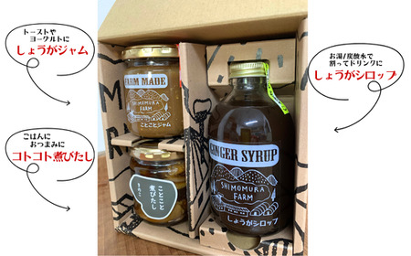 しょうがのあったかギフトボックス  しょうがシロップ しょうがジャム 煮びたし セット 生姜 ジンジャーシロップ ギフト 贈り物 下村農園