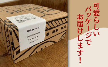 しょうがのあったかギフトボックス  しょうがシロップ しょうがジャム 煮びたし セット 生姜 ジンジャーシロップ ギフト 贈り物 下村農園