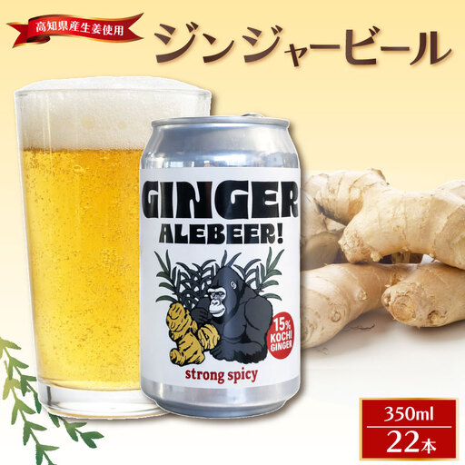 ジンジャービール 350ml 22本セット 【 高知県 生姜 ビール 缶ビール セット 】