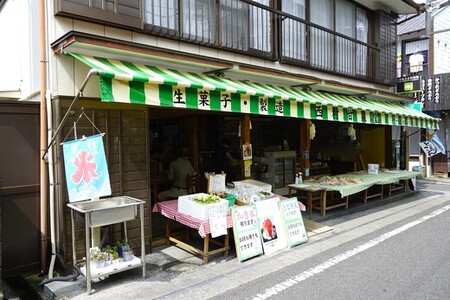 かつおモナカ 6個入り つぶあん こしあん 柚子あん セット 詰合せ 和菓子 最中 もなか 高知 西村甘泉堂 久礼