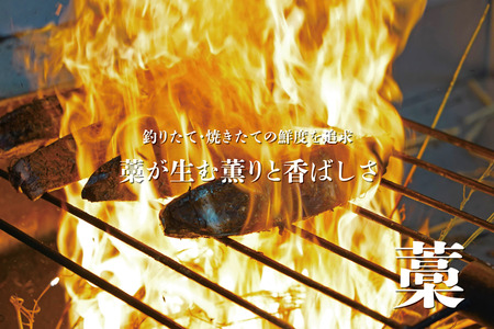 一本釣り地鰹の藁焼きタタキ（旬凍）７～８人前