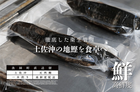 一本釣り 地鰹の藁焼きタタキ (生) 3～4人前 冷蔵 【 高知 久礼 ど久礼もん わら焼き 薬味 タレ付き 日戻り 鰹 本場 新鮮 タタキ  かつお 】