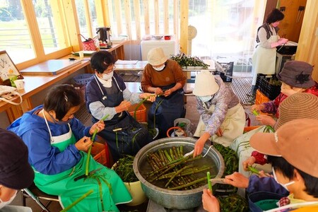 冷凍塩漬けイタドリ250ｇ×５セット | 高知県中土佐町 | ふるさと納税