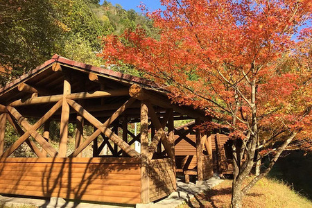 【 大自然で深呼吸 】 四万十源流の里 宿泊券 ( 12名用 バンガロー 1棟貸 ) 高知 四万十 源流 宿泊 観光 自然 チケット 旅行券 